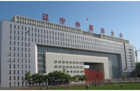 遼寧中醫(yī)藥大學互聯(lián)網專線及電信綜合接入